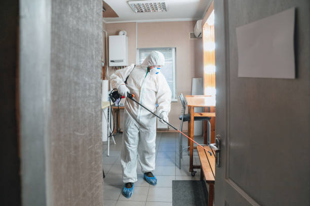 Mold Removal for HVAC Installations